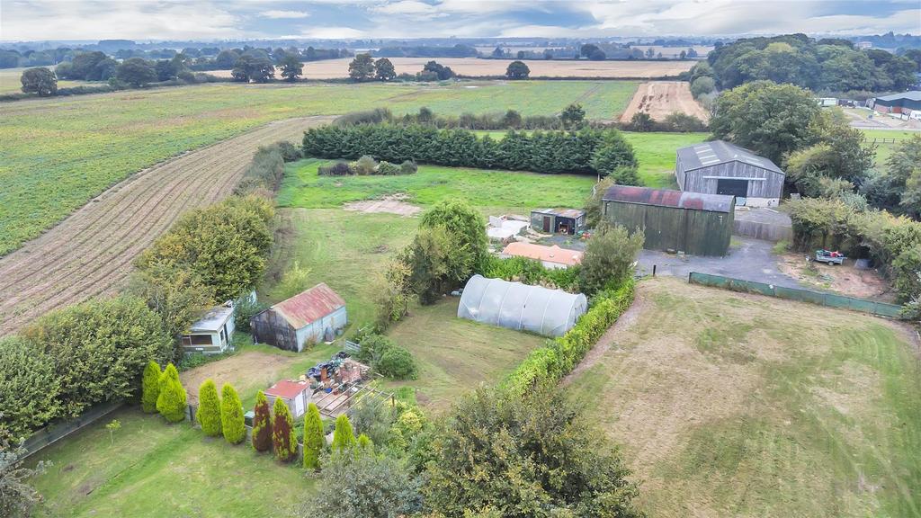 DJI 0783.jpg