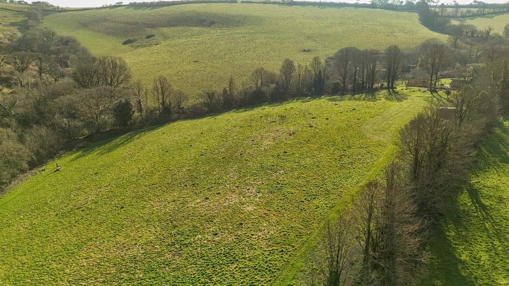 Dji 20250212124243 0024 d