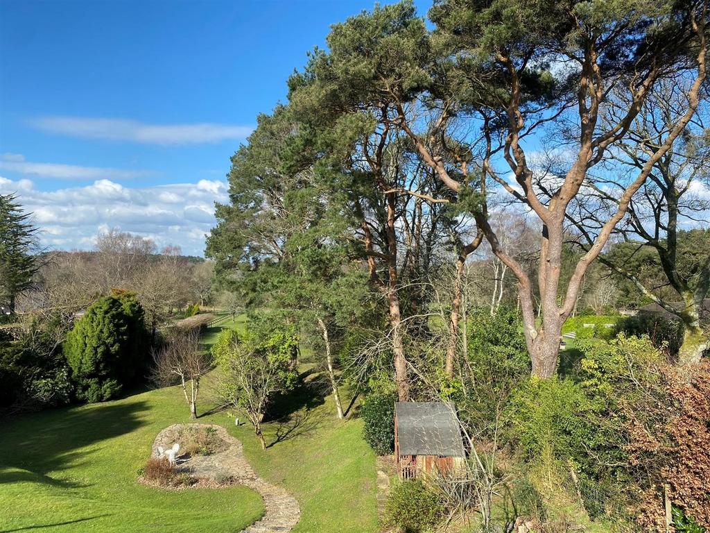 Rear gdn new.jpg