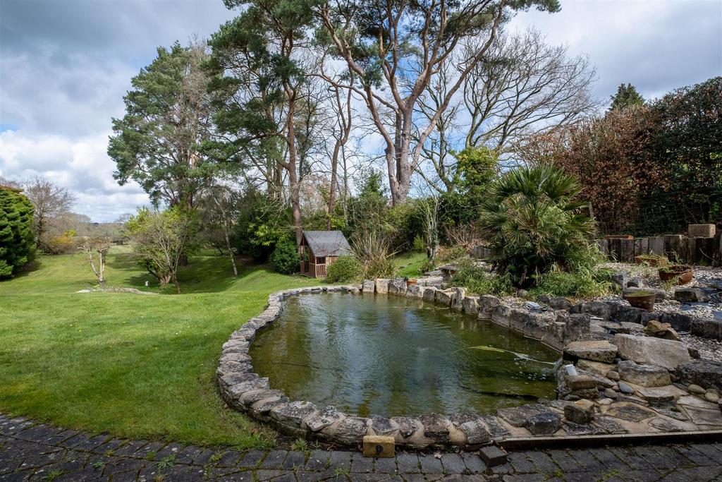 Koi pond