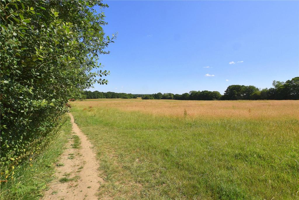 Effingham Common