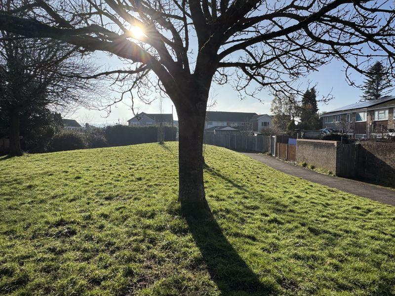 Green Space