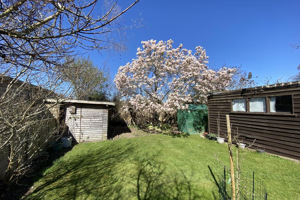 Magnolia