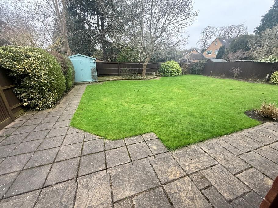 Garden Pic 1