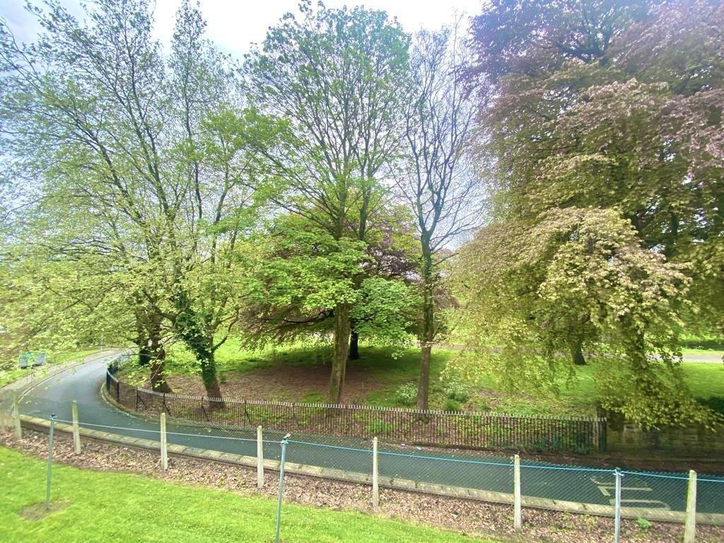 Park Views