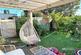 Summer Garden Photo
