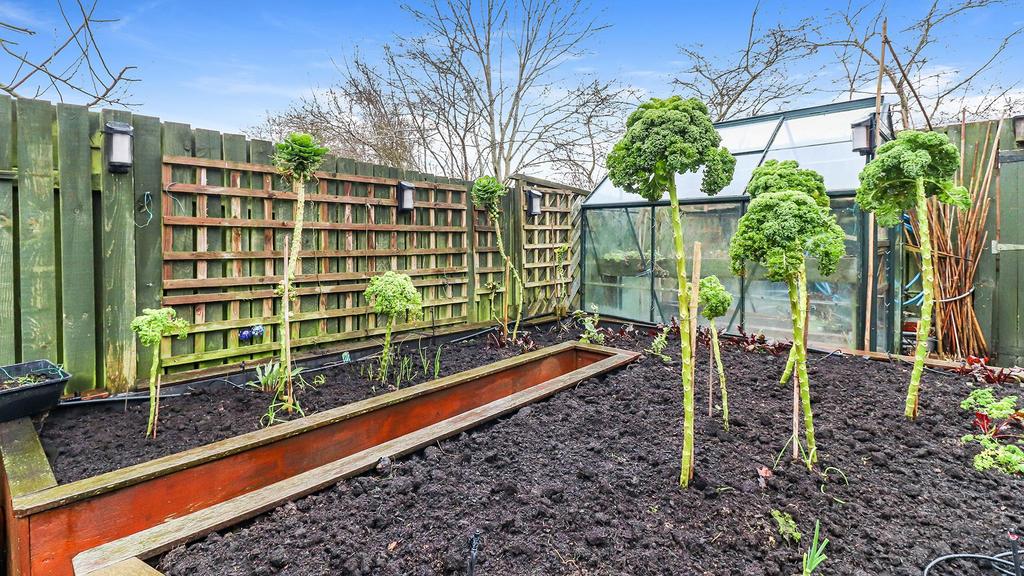 Garden view 4