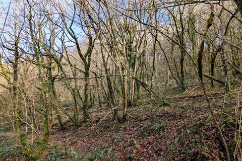 Woodland for sale, St Neot, Bodmin PL14