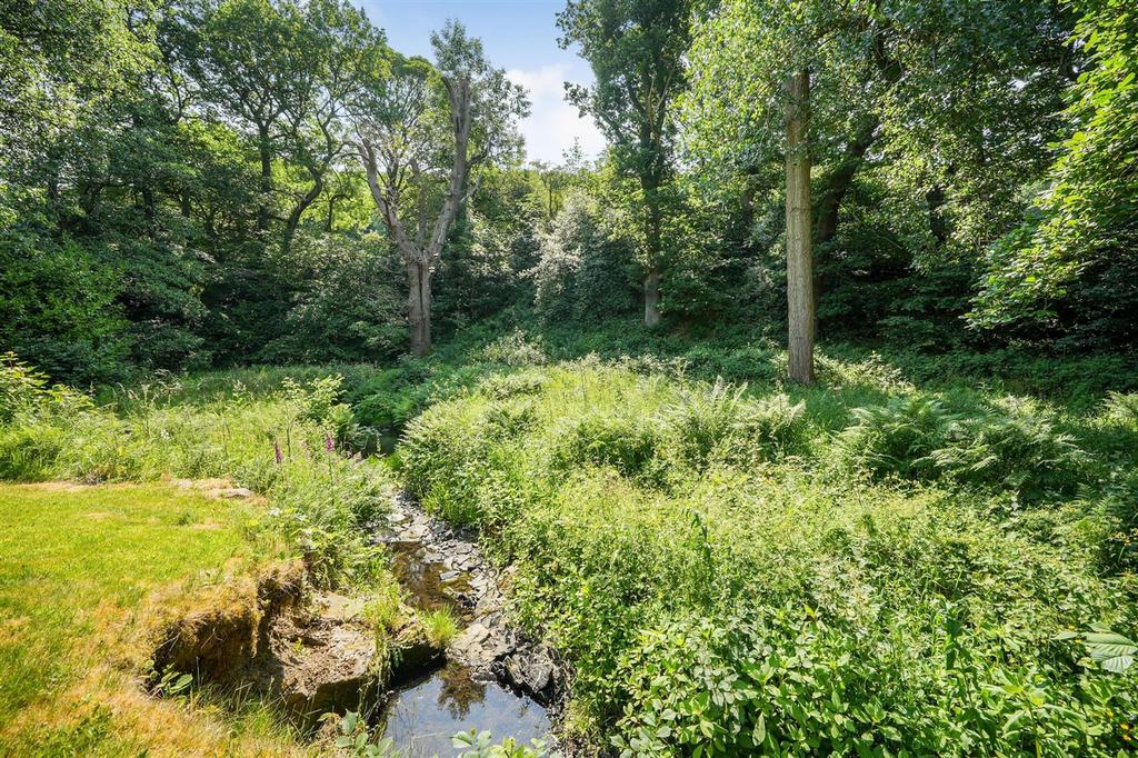 WOODLAND 1.jpg