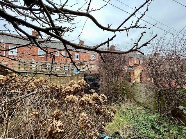 Rear Courtyard