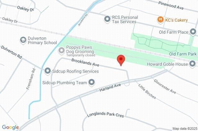 Google Maps Image