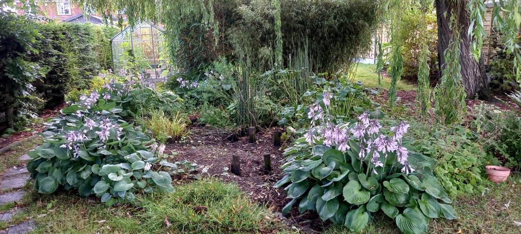 5.Bog garden.jpg