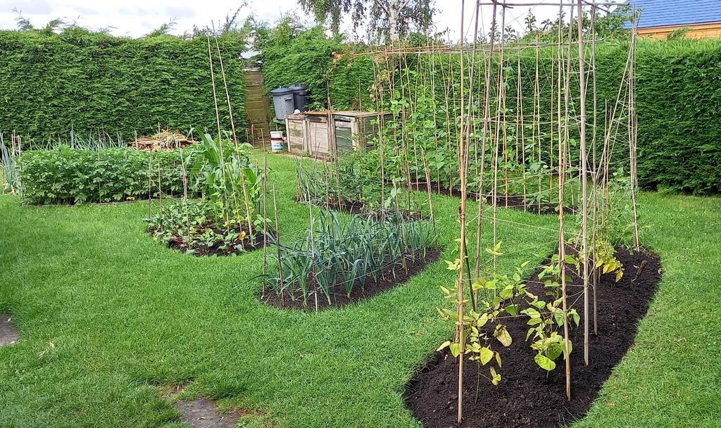 6.Veg. plot.jpg