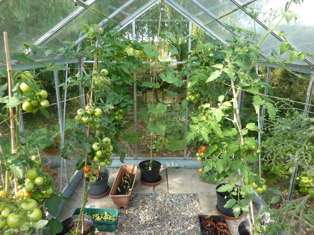 7.Greenhouse.JPG