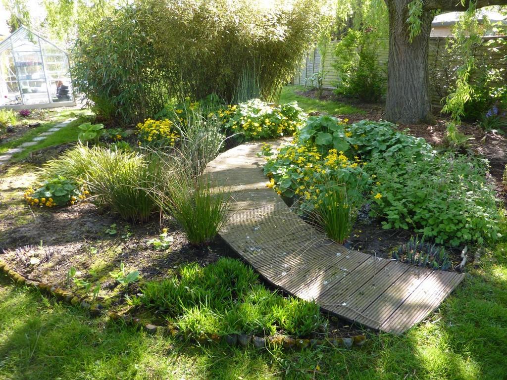 8.Bog garden.JPG
