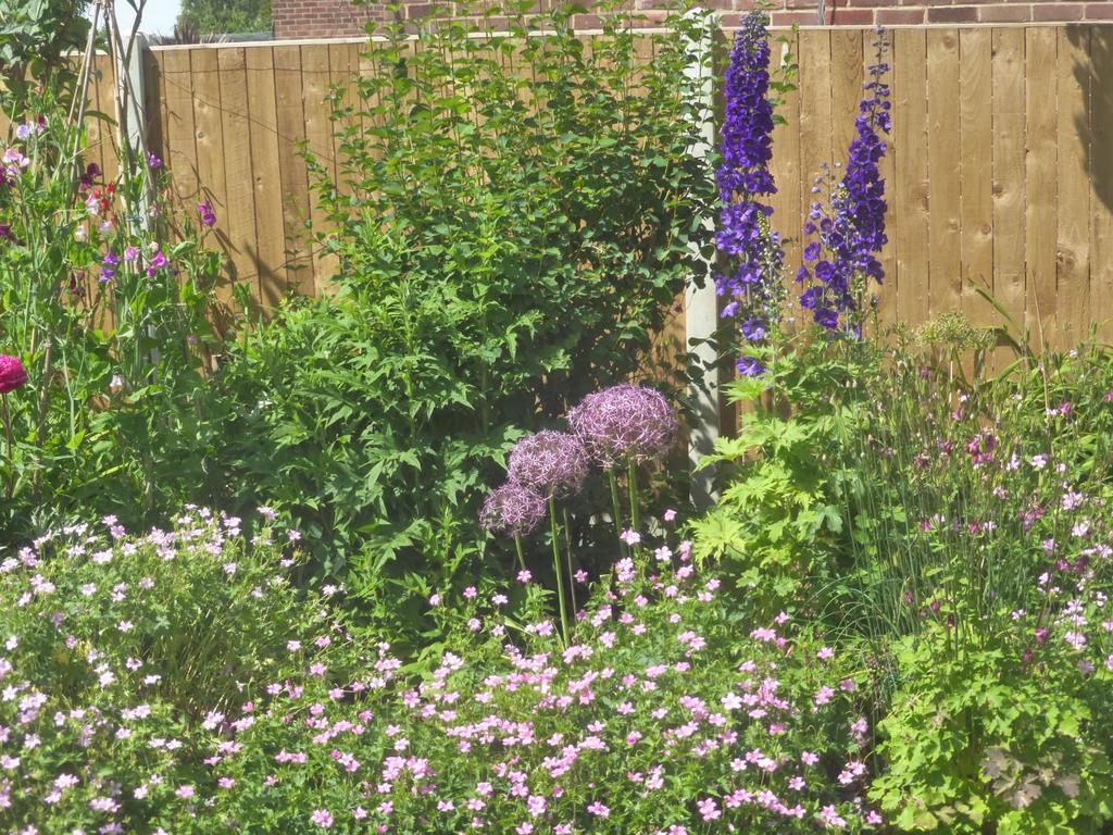 10.Flowerbed.JPG