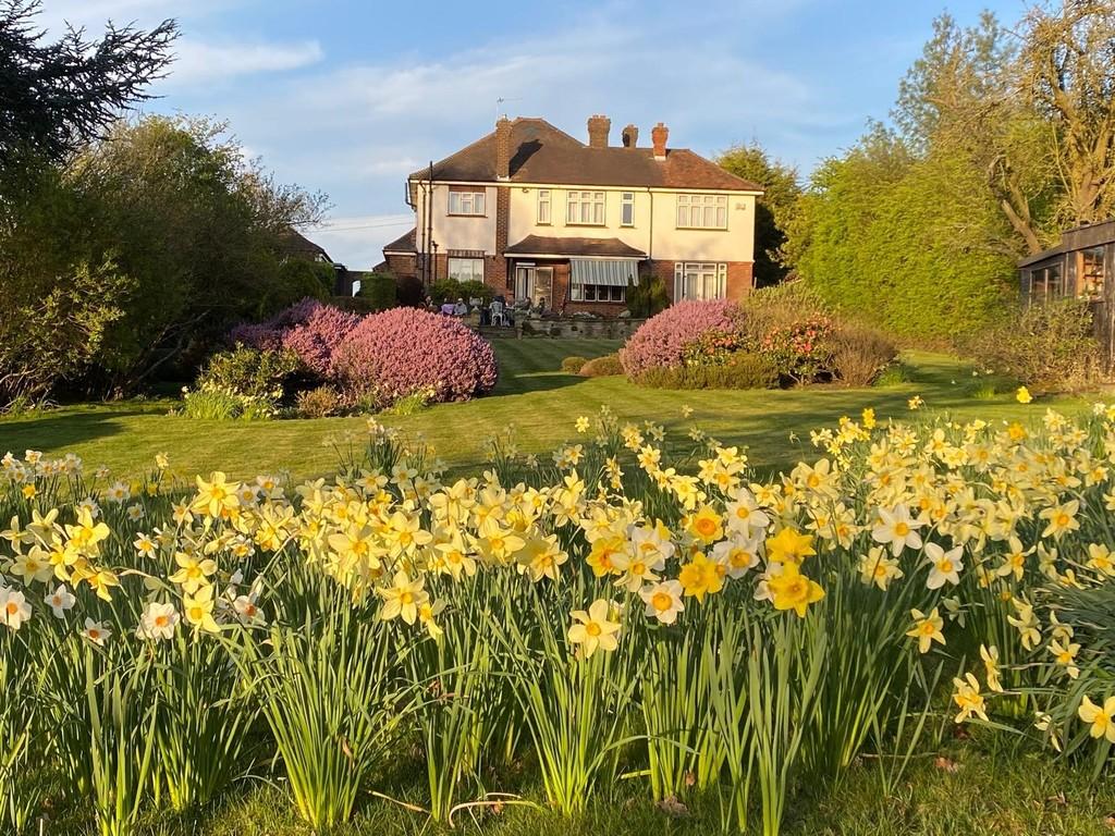 Spring garden