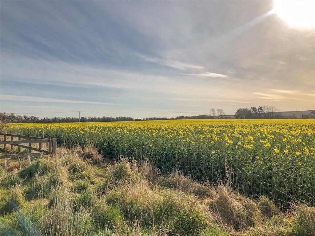 Countryside