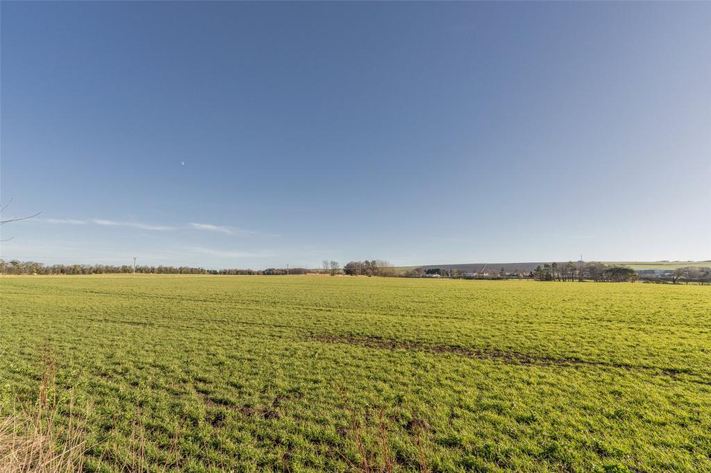Countryside Alt