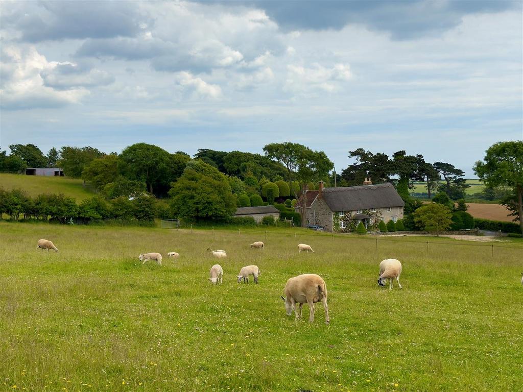 Front View With Sheep.jpg