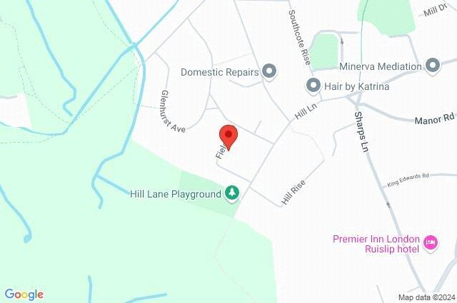 Google Maps Image