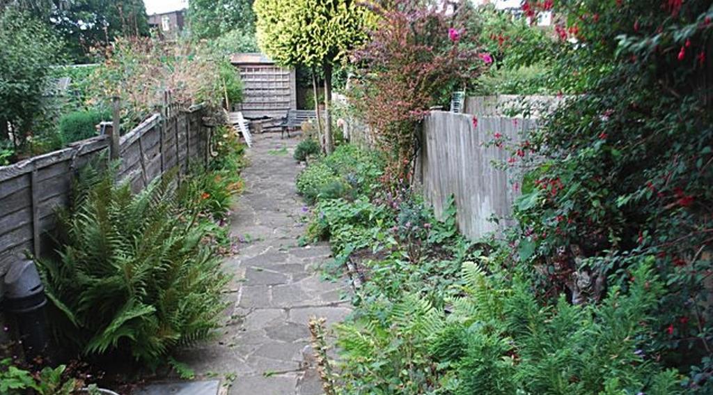 Garden.jpg