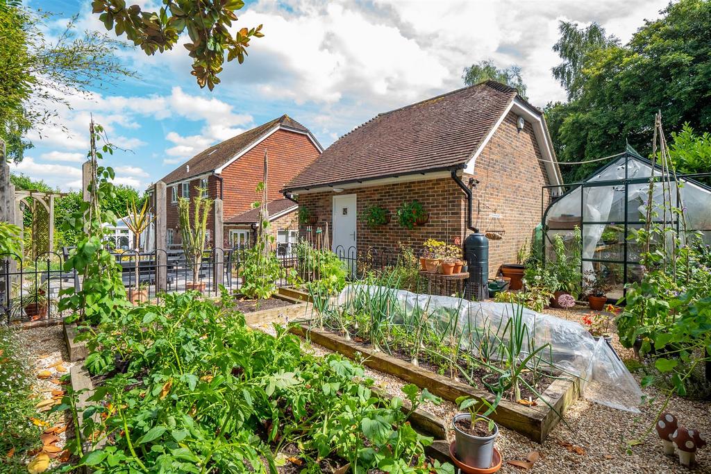 Vegetable Patch..jpg
