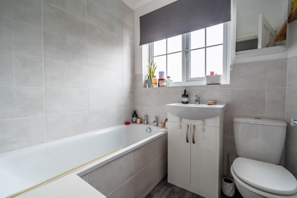 Acorn close-18.jpg