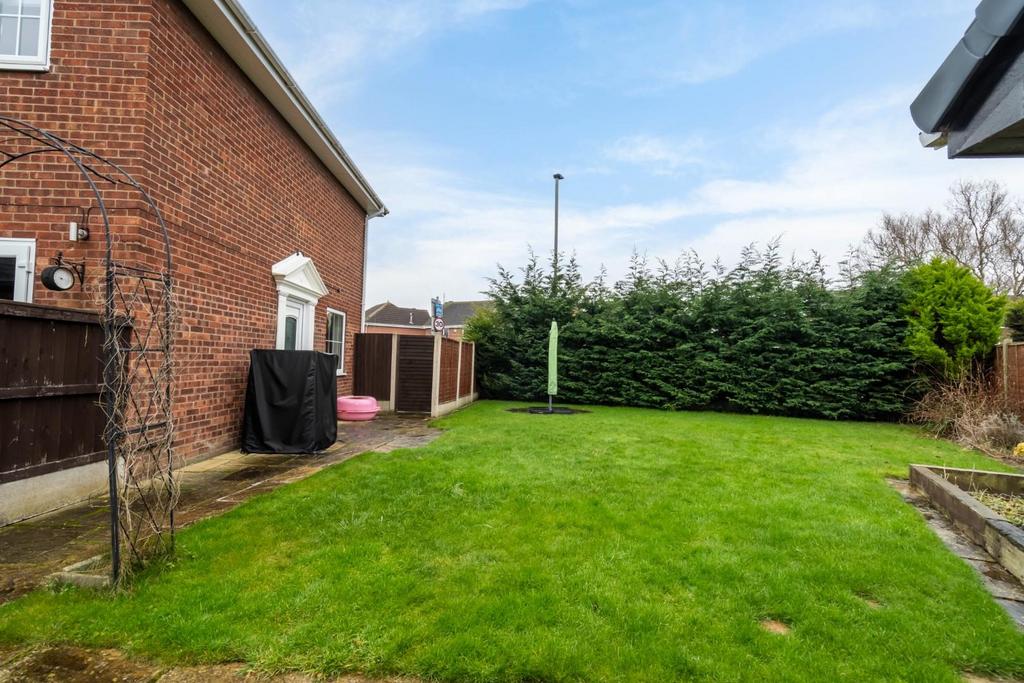 Acorn close-23.jpg