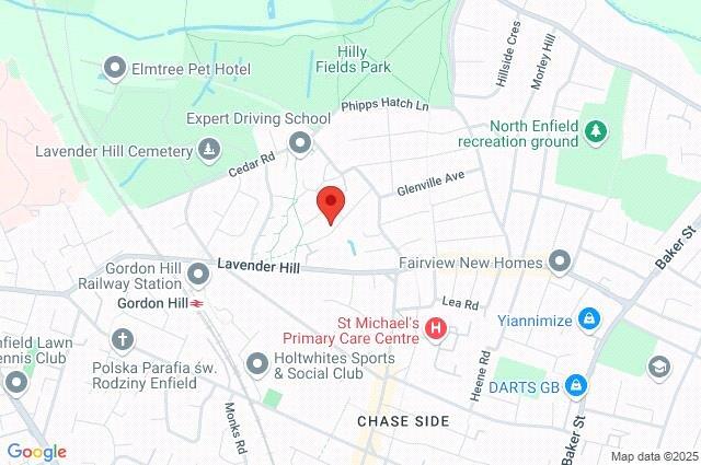 Google Maps Image