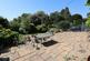 REar patio and garden