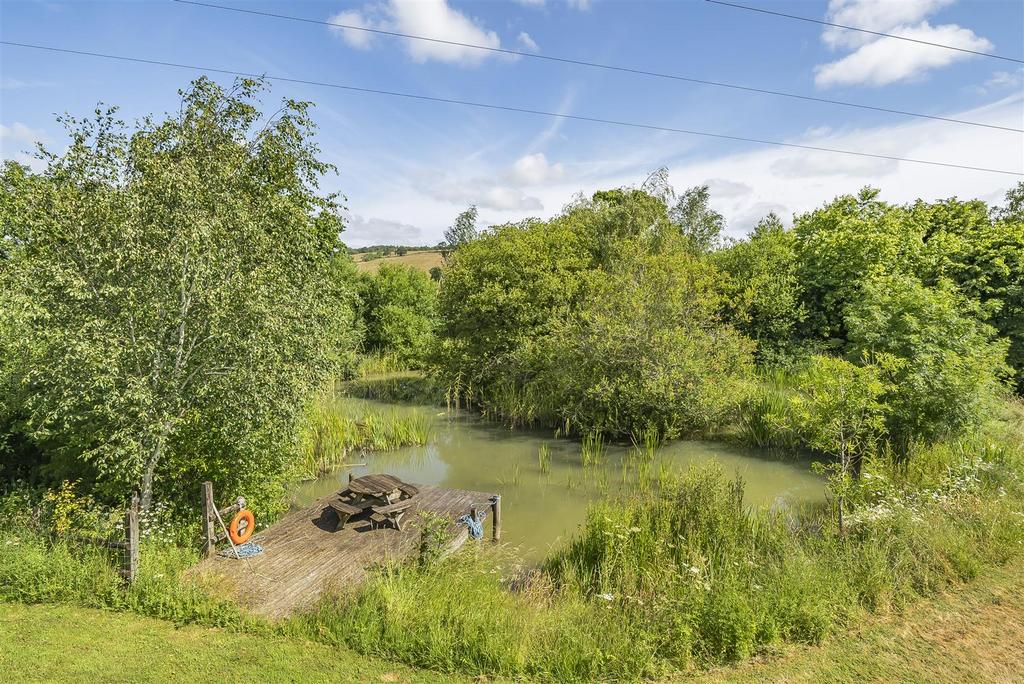 Pond
