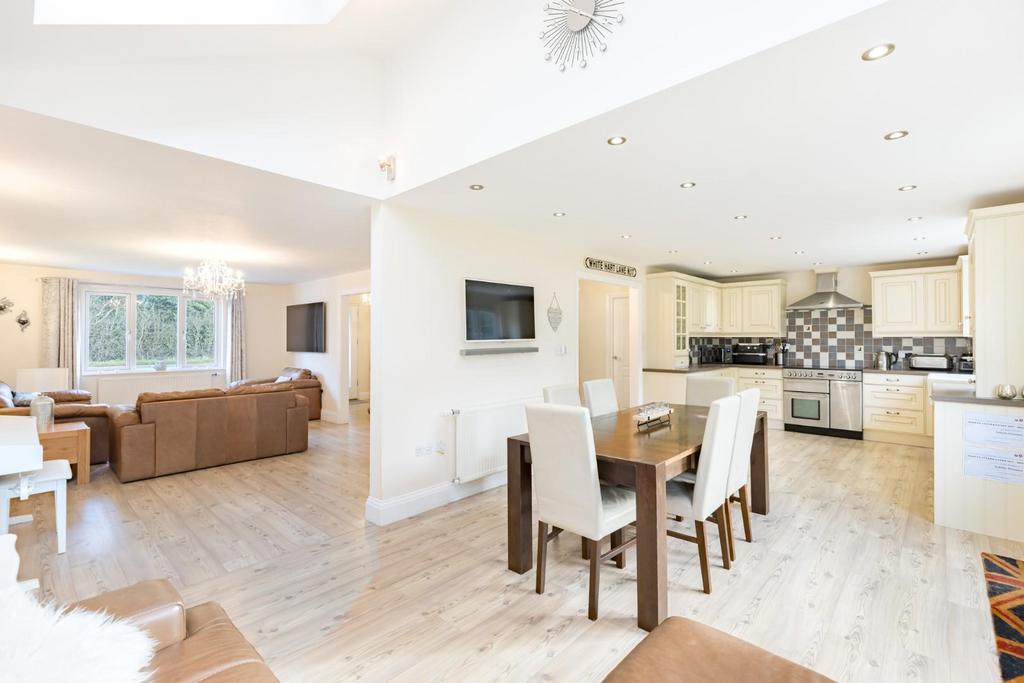 DBE-40.jpg
