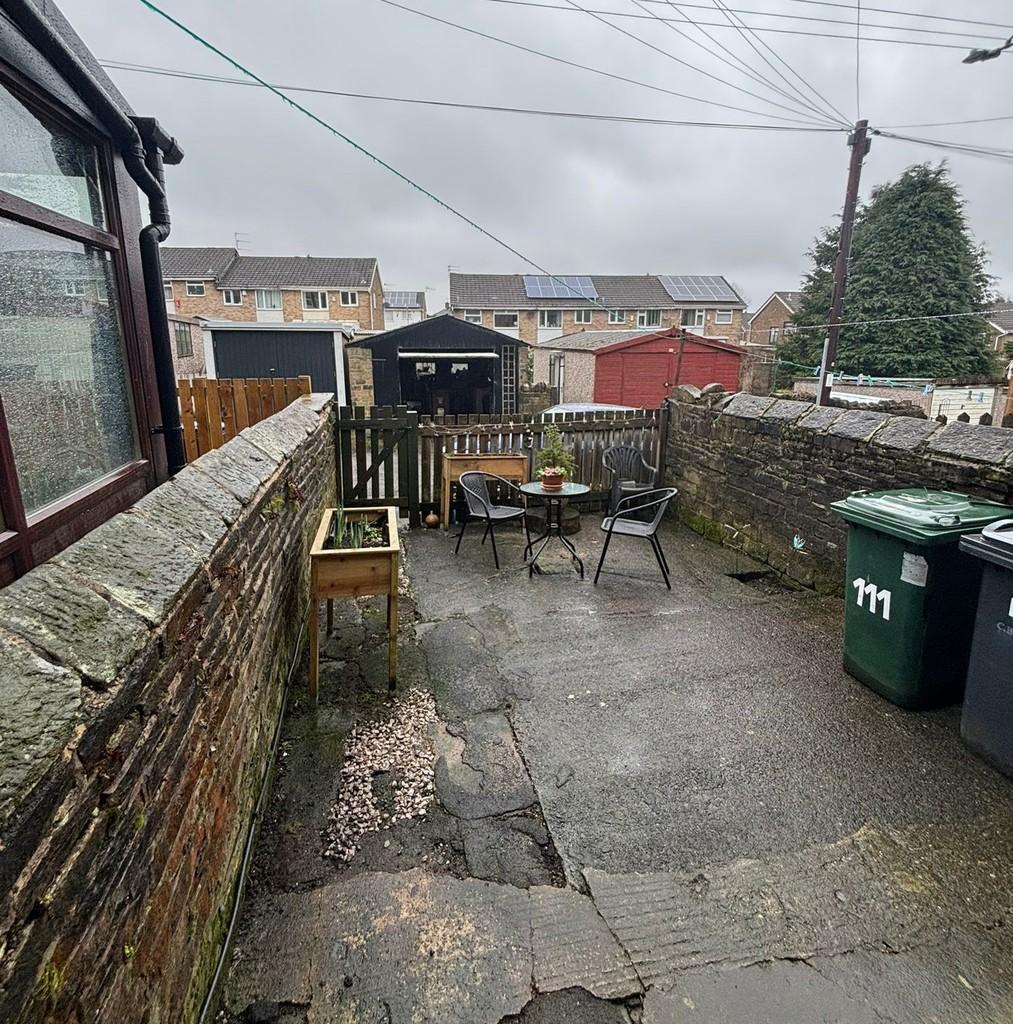 Back garden
