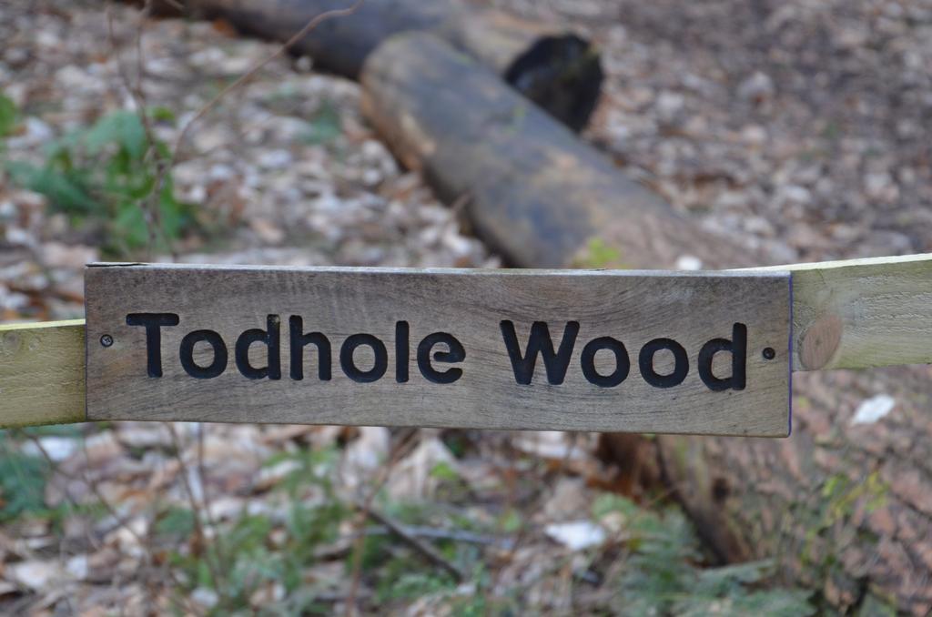 Todhole Wood