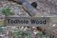 ROWBANK WOOD, BRAMPTON CA8