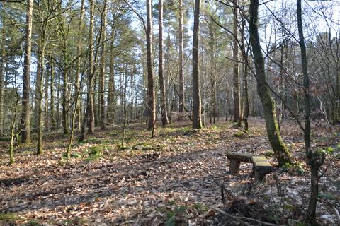 Woodland for sale, ROWBANK WOOD, BRAMPTON CA8