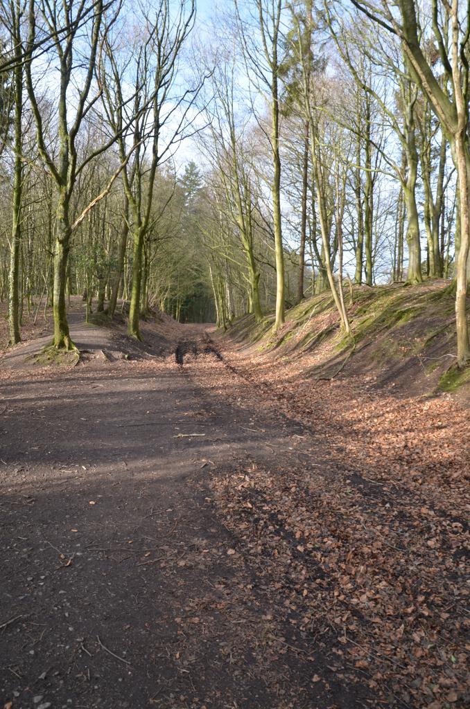 Main access track
