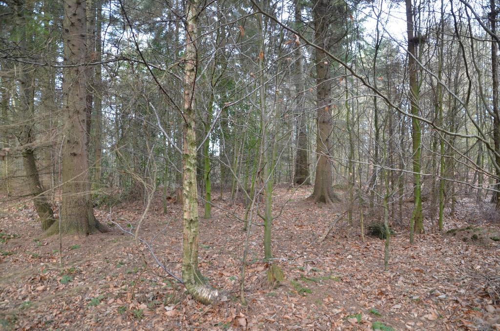 Level area