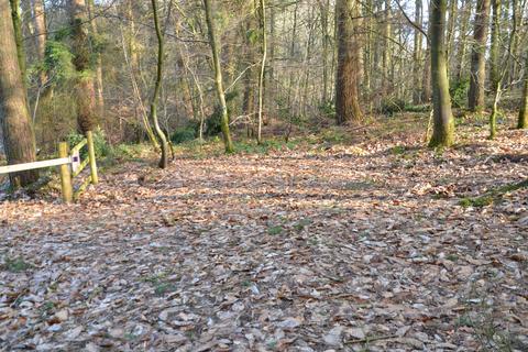 Woodland for sale, ROWBANK WOOD, BRAMPTON CA8