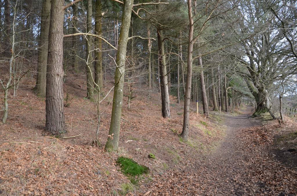 Lower access track