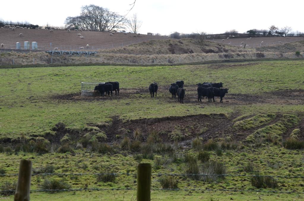 Meet the neighbours