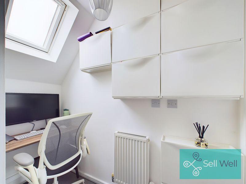 Study Area