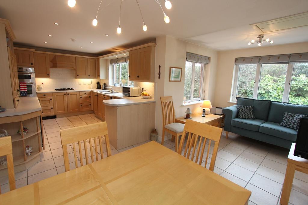 Kitchen Family Room