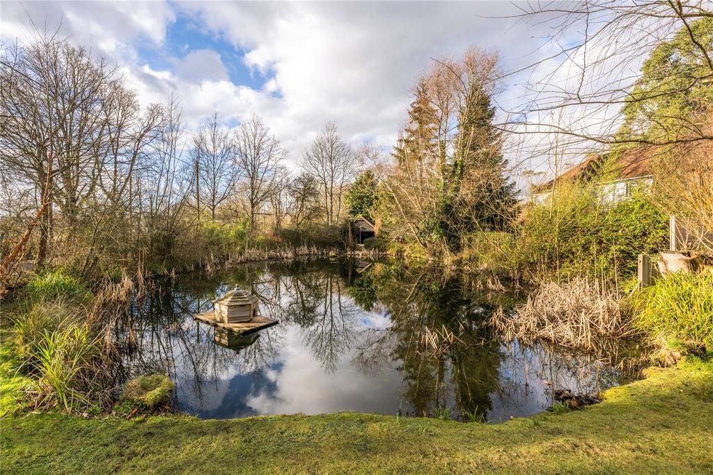 Pond