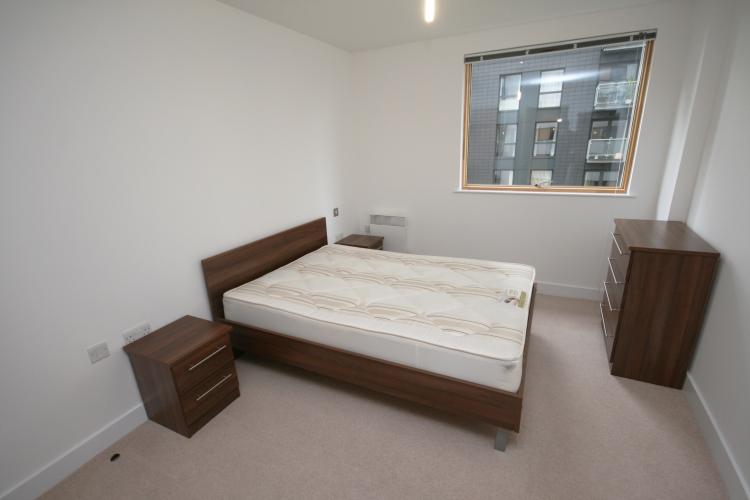 Cypress 405 (5)