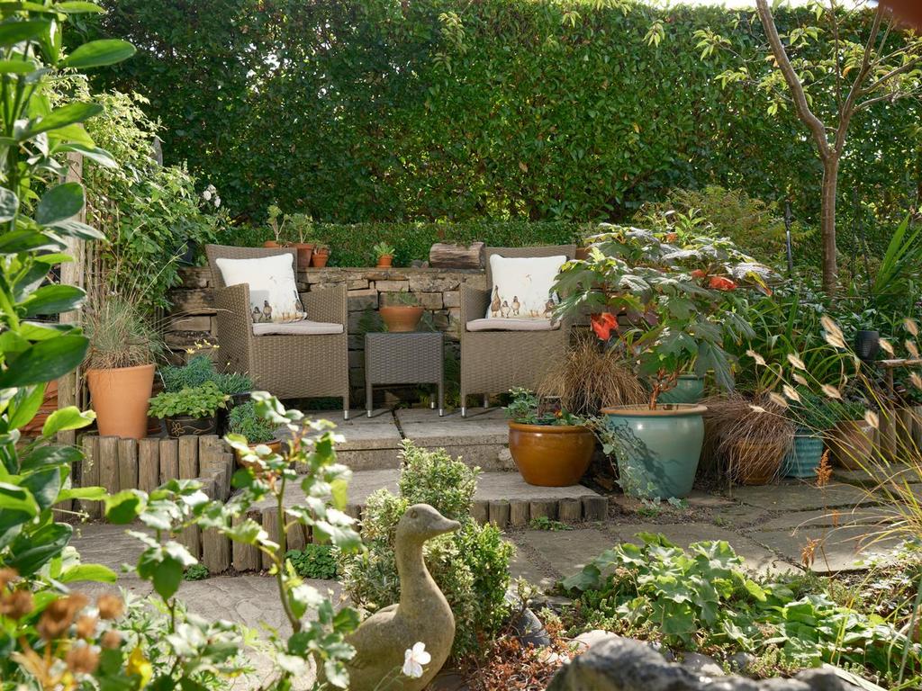 Rear garden