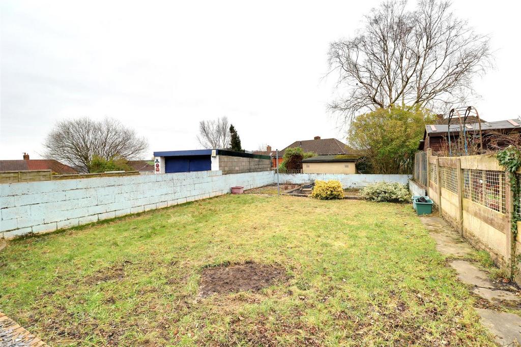 IMG 6780-IMG 6782.jpg