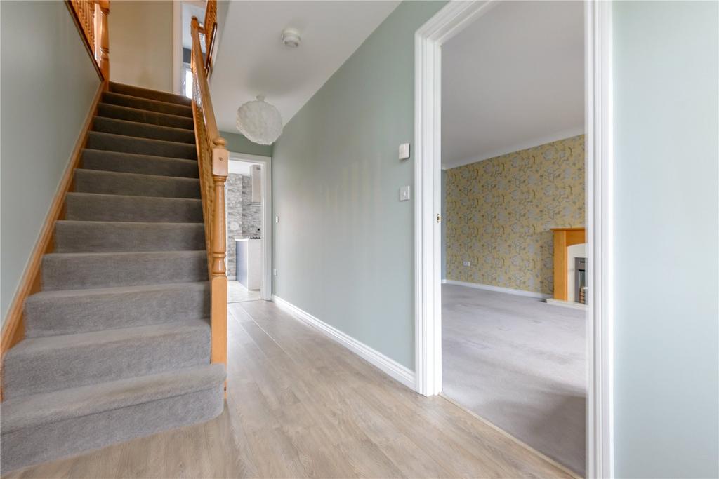 Hawk Crescent 3