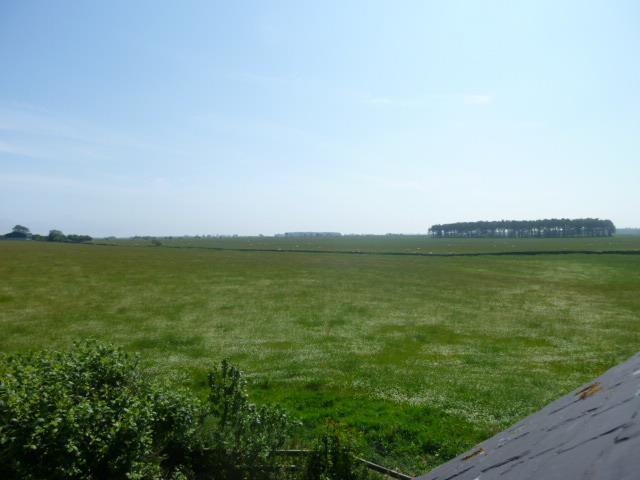P1040045.jpg